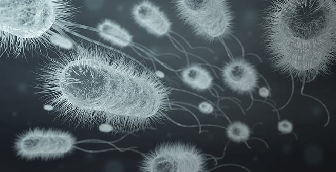 Illustration showing bacteria infection